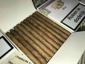 国产雪茄购买网站,探索国内顶级雪茄品牌之旅